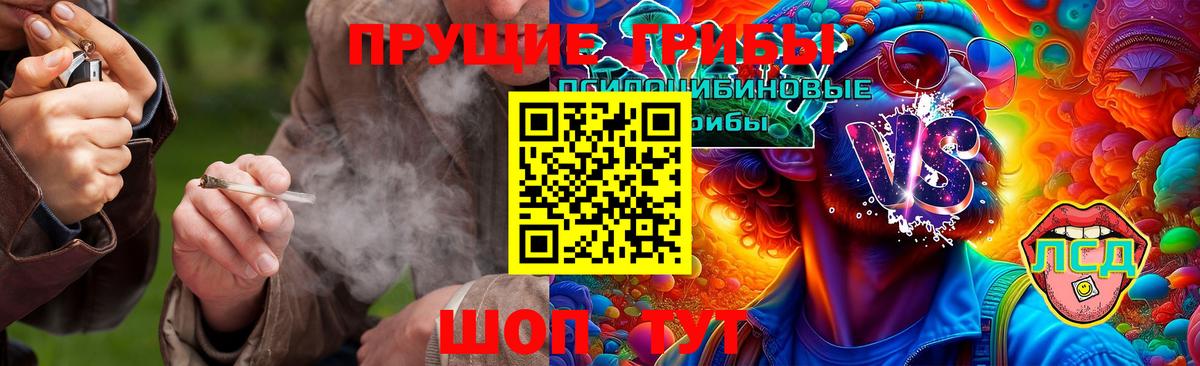 Галлюциногенные грибы мицелий  Галлюциногенные грибы Psilocybe  Бугуруслан  Вход с VPN 